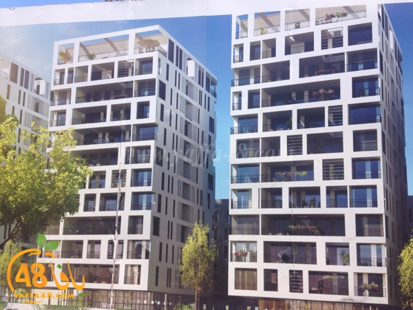 abarakan yaffa (10).jpg